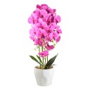 Orhidee cu aspect natural in ghiveci ceramic, 70 cm, Naimeed D4843, Magenta Orhidee cu aspect natural in ghiveci ceramic, 70 cm, Naimeed D4843, Magenta