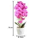 Orhidee cu aspect natural in ghiveci ceramic, 70 cm, Naimeed D4843, Magenta Orhidee cu aspect natural in ghiveci ceramic, 70 cm, Naimeed D4843, Magenta