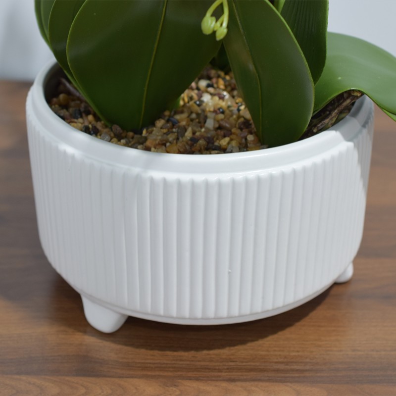 Orhidee cu aspect natural in ghiveci ceramic, 71 cm, Naimeed D4844, Alb-Visiniu Orhidee cu aspect natural in ghiveci ceramic, 71 cm, Naimeed D4844, Alb-Visiniu
