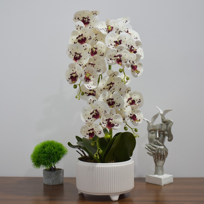 Orhidee cu aspect natural in ghiveci ceramic, 71 cm, Naimeed D4844, Alb-Visiniu Orhidee cu aspect natural in ghiveci ceramic, 71 cm, Naimeed D4844, Alb-Visiniu