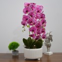 Orhidee cu aspect natural in ghiveci ceramic, 71 cm, Naimeed D4844, Magenta Orhidee cu aspect natural in ghiveci ceramic, 71 cm, Naimeed D4844, Magenta