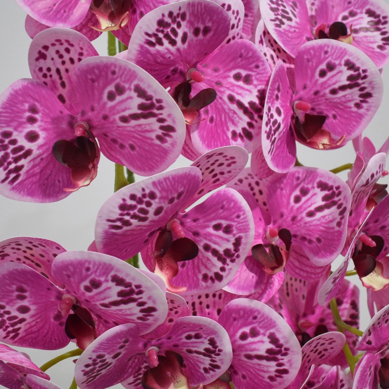 Orhidee cu aspect natural in ghiveci ceramic, 71 cm, Naimeed D4844, Magenta Orhidee cu aspect natural in ghiveci ceramic, 71 cm, Naimeed D4844, Magenta