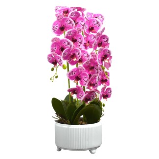 Orhidee cu aspect natural in ghiveci ceramic, 71 cm, Naimeed D4844, Magenta Orhidee cu aspect natural in ghiveci ceramic, 71 cm, Naimeed D4844, Magenta