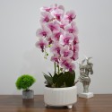 Orhidee cu aspect natural in ghiveci ceramic, 71 cm, Naimeed D4844, Roz