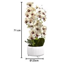 Orhidee cu aspect natural in ghiveci ceramic, 71 cm, Naimeed D4844, Alb-Visiniu Orhidee cu aspect natural in ghiveci ceramic, 71 cm, Naimeed D4844, Alb-Visiniu