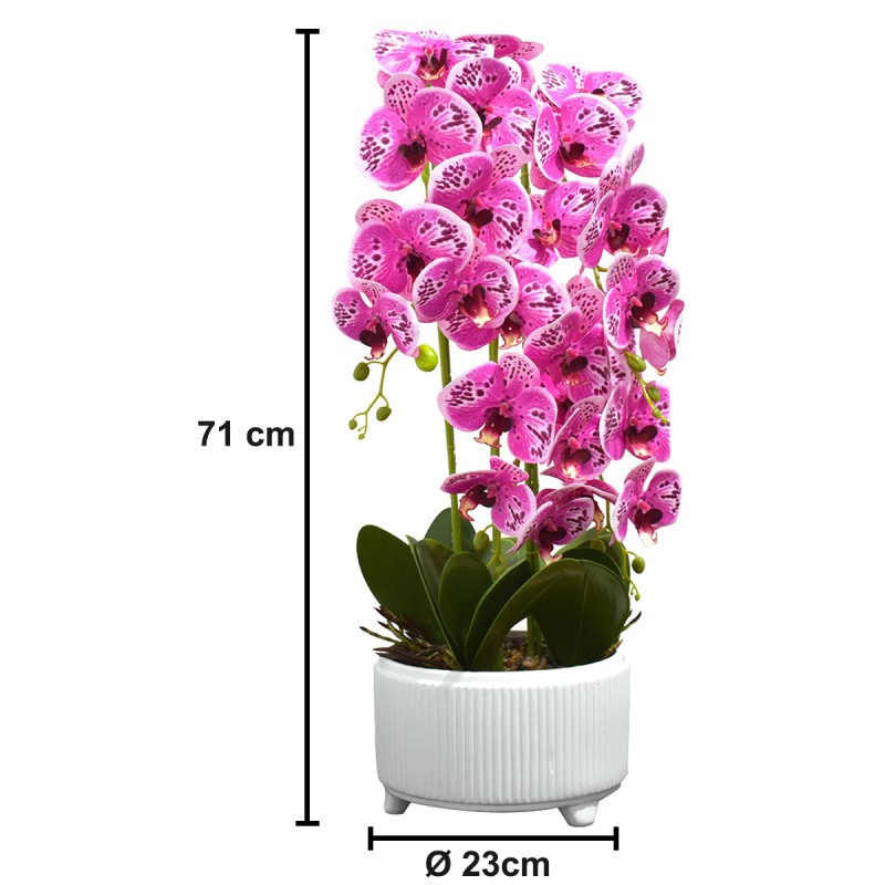 Orhidee cu aspect natural in ghiveci ceramic, 71 cm, Naimeed D4844, Magenta Orhidee cu aspect natural in ghiveci ceramic, 71 cm, Naimeed D4844, Magenta