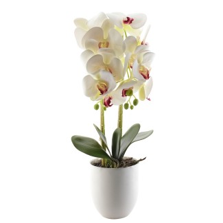 Orhidee cu aspect natural in ghiveci ceramic, 53 cm, Naimeed D4846, Alb Orhidee cu aspect natural in ghiveci ceramic, 53 cm, Naimeed D4846, Alb