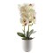 Orhidee cu aspect natural in ghiveci ceramic, 53 cm, Naimeed D4846, Alb