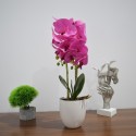 Orhidee cu aspect natural in ghiveci ceramic, 53 cm, Naimeed D4846, Magenta Orhidee cu aspect natural in ghiveci ceramic, 53 cm, Naimeed D4846, Magenta