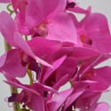 Orhidee cu aspect natural in ghiveci ceramic, 53 cm, Naimeed D4846, Magenta Orhidee cu aspect natural in ghiveci ceramic, 53 cm, Naimeed D4846, Magenta