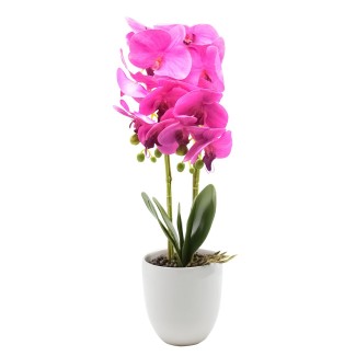 Orhidee cu aspect natural in ghiveci ceramic, 53 cm, Naimeed D4846, Magenta Orhidee cu aspect natural in ghiveci ceramic, 53 cm, Naimeed D4846, Magenta