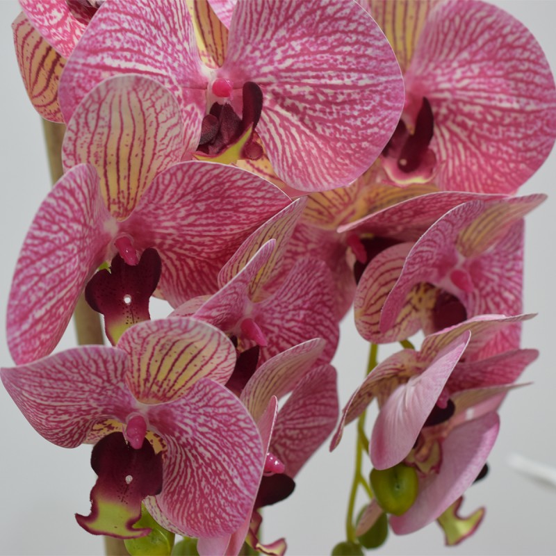 Orhidee cu aspect natural in ghiveci ceramic, 53 cm, Naimeed D4846, Roz Orhidee cu aspect natural in ghiveci ceramic, 53 cm, Naimeed D4846, Roz