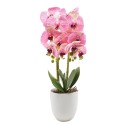 Orhidee cu aspect natural in ghiveci ceramic, 53 cm, Naimeed D4846, Roz Orhidee cu aspect natural in ghiveci ceramic, 53 cm, Naimeed D4846, Roz