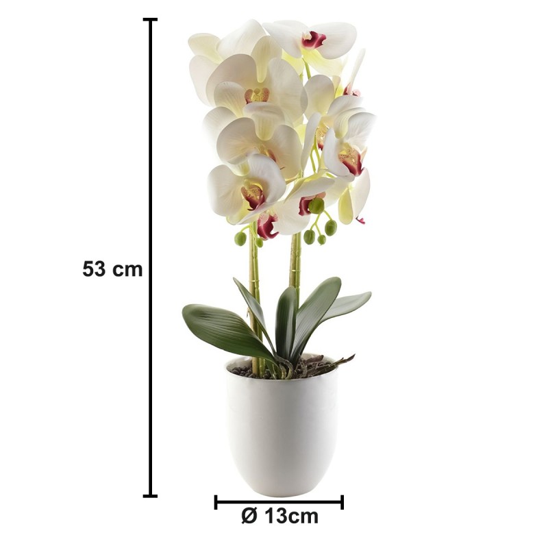 Orhidee cu aspect natural in ghiveci ceramic, 53 cm, Naimeed D4846, Alb Orhidee cu aspect natural in ghiveci ceramic, 53 cm, Naimeed D4846, Alb