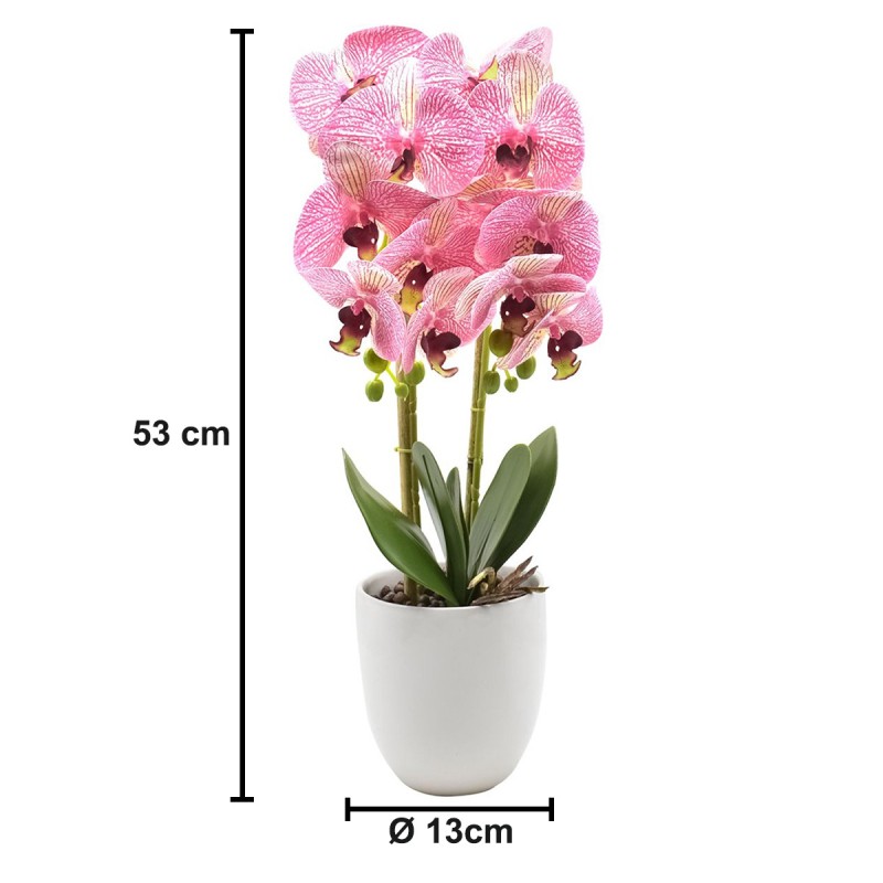 Orhidee cu aspect natural in ghiveci ceramic, 53 cm, Naimeed D4846, Roz Orhidee cu aspect natural in ghiveci ceramic, 53 cm, Naimeed D4846, Roz