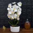 Orhidee cu aspect natural in ghiveci ceramic, 50 cm, Naimeed D4848, Alb Orhidee cu aspect natural in ghiveci ceramic, 50 cm, Naimeed D4848, Alb