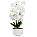 Orhidee cu aspect natural in ghiveci ceramic, 50 cm, Naimeed D4848, Alb Orhidee cu aspect natural in ghiveci ceramic, 50 cm, Naimeed D4848, Alb