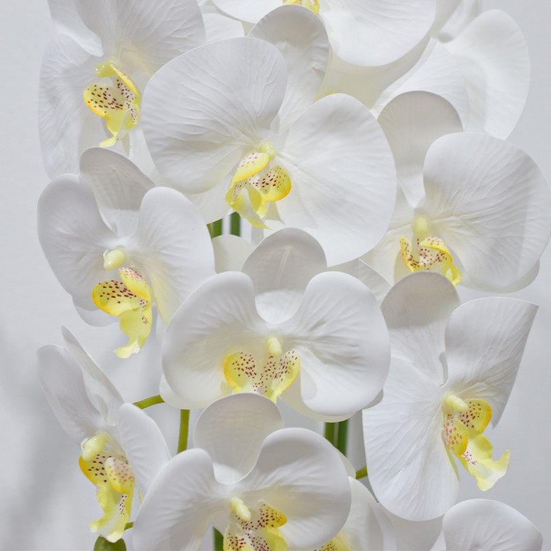 Orhidee cu aspect natural in ghiveci ceramic, 50 cm, Naimeed D4848, Alb Orhidee cu aspect natural in ghiveci ceramic, 50 cm, Naimeed D4848, Alb