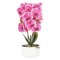Orhidee cu aspect natural in ghiveci ceramic, 50 cm, Naimeed D4848, Roz