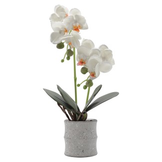 Orhidee cu aspect natural in ghiveci ceramic, 35 cm, Naimeed D4849, Alb Orhidee cu aspect natural in ghiveci ceramic, 35 cm, Naimeed D4849, Alb
