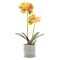 Orhidee cu aspect natural in ghiveci ceramic, 35 cm, Naimeed D4849, Portocaliu
