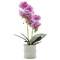 Orhidee cu aspect natural in ghiveci ceramic, 35 cm, Naimeed D4849, Magenta