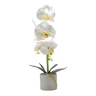 Orhidee cu aspect natural in ghiveci ceramic, 36 cm, Naimeed D4850, Alb Orhidee cu aspect natural in ghiveci ceramic, 36 cm, Naimeed D4850, Alb