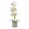 Orhidee cu aspect natural in ghiveci ceramic, 36 cm, Naimeed D4850, Alb