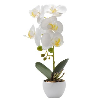 Orhidee cu aspect natural in ghiveci ceramic, 33 cm, Naimeed D4851, Alb Orhidee cu aspect natural in ghiveci ceramic, 33 cm, Naimeed D4851, Alb