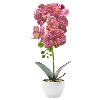 Orhidee cu aspect natural in ghiveci ceramic, 33 cm, Naimeed D4851, RozGalben Orhidee cu aspect natural in ghiveci ceramic, 33 cm, Naimeed D4851, RozGalben