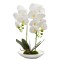 Orhidee cu aspect natural in ghiveci ceramic, 49 cm, Naimeed D4852, Alb