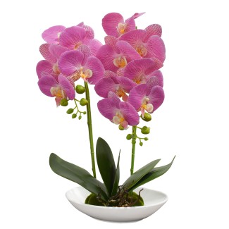 Orhidee cu aspect natural in ghiveci ceramic, 49 cm, Naimeed D4852, Magenta Orhidee cu aspect natural in ghiveci ceramic, 49 cm, Naimeed D4852, Magenta