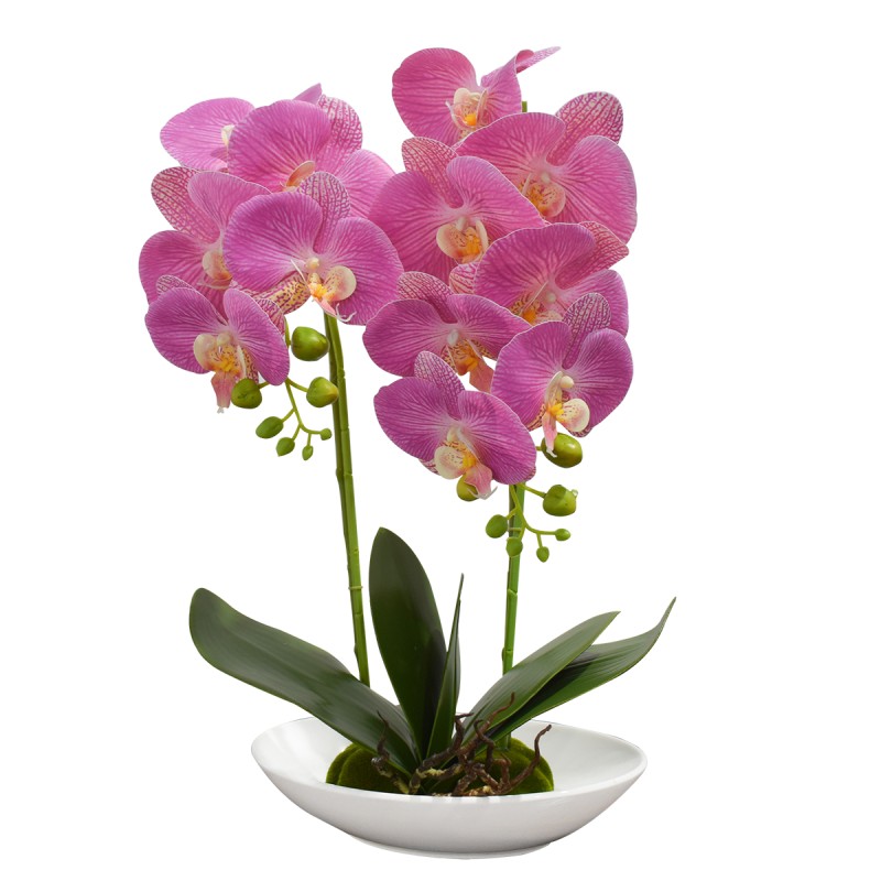 Orhidee cu aspect natural in ghiveci ceramic, 49 cm, Naimeed D4852, Magenta Orhidee cu aspect natural in ghiveci ceramic, 49 cm, Naimeed D4852, Magenta