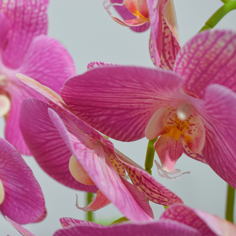 Orhidee cu aspect natural in ghiveci ceramic, 49 cm, Naimeed D4852, Magenta Orhidee cu aspect natural in ghiveci ceramic, 49 cm, Naimeed D4852, Magenta