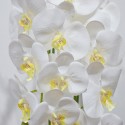 Orhidee cu aspect natural in ghiveci ceramic, 60 cm, Naimeed D4854, Alb