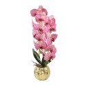 Orhidee cu aspect natural in ghiveci ceramic, 60 cm, Naimeed D4854, RozGalben