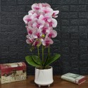 Orhidee cu aspect natural in ghiveci ceramic, 70 cm, Naimeed D4855, Roz