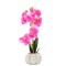 Orhidee cu aspect natural in ghiveci ceramic, 30 cm, Naimeed D4856, Magenta