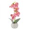 Orhidee cu aspect natural in ghiveci ceramic, 30 cm, Naimeed D4856, Roz Inchis
