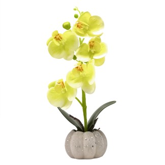 Orhidee cu aspect natural in ghiveci ceramic, 30 cm, Naimeed D4856, Verde Orhidee cu aspect natural in ghiveci ceramic, 30 cm, Naimeed D4856, Verde