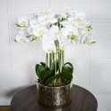 Orhidee cu aspect natural in ghiveci ceramic, 60 cm, Naimeed D5568, Alb