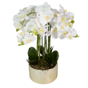 Orhidee cu aspect natural in ghiveci ceramic, 60 cm, Naimeed D5568, Alb