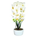 Orhidee cu aspect natural in ghiveci ceramic, 50 cm, Naimeed D5819, Alb Orhidee cu aspect natural in ghiveci ceramic, 50 cm, Naimeed D5819, Alb