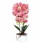 Orhidee cu aspect natural in ghiveci ceramic, 50 cm, Naimeed D5819, Mov