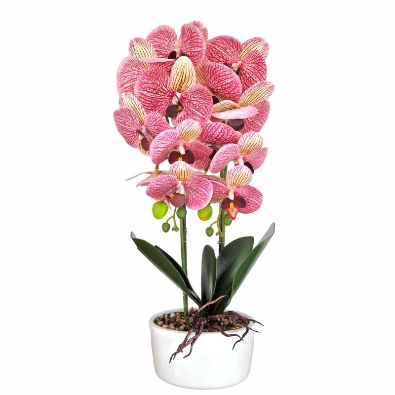 Orhidee cu aspect natural in ghiveci ceramic, 50 cm, Naimeed D5819, Mov Orhidee cu aspect natural in ghiveci ceramic, 50 cm, Naimeed D5819, Mov