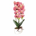 Orhidee cu aspect natural in ghiveci ceramic, 50 cm, Naimeed D5819, Mov Orhidee cu aspect natural in ghiveci ceramic, 50 cm, Naimeed D5819, Mov