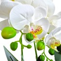 Orhidee cu aspect natural in ghiveci ceramic, 50 cm, Naimeed D5819, Alb Orhidee cu aspect natural in ghiveci ceramic, 50 cm, Naimeed D5819, Alb