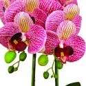Orhidee cu aspect natural in ghiveci ceramic, 50 cm, Naimeed D5819, Mov Orhidee cu aspect natural in ghiveci ceramic, 50 cm, Naimeed D5819, Mov