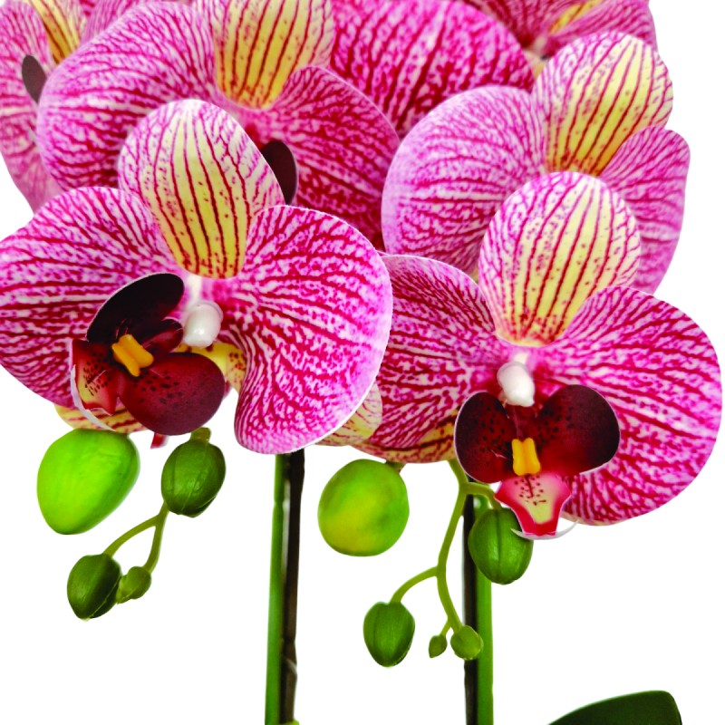 Orhidee cu aspect natural in ghiveci ceramic, 50 cm, Naimeed D5819, Mov Orhidee cu aspect natural in ghiveci ceramic, 50 cm, Naimeed D5819, Mov