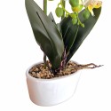 Orhidee cu aspect natural in ghiveci ceramic, 50 cm, Naimeed D5819, Alb Orhidee cu aspect natural in ghiveci ceramic, 50 cm, Naimeed D5819, Alb